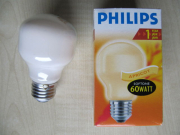 SIJALICA PHILIPS T55 E27 60W